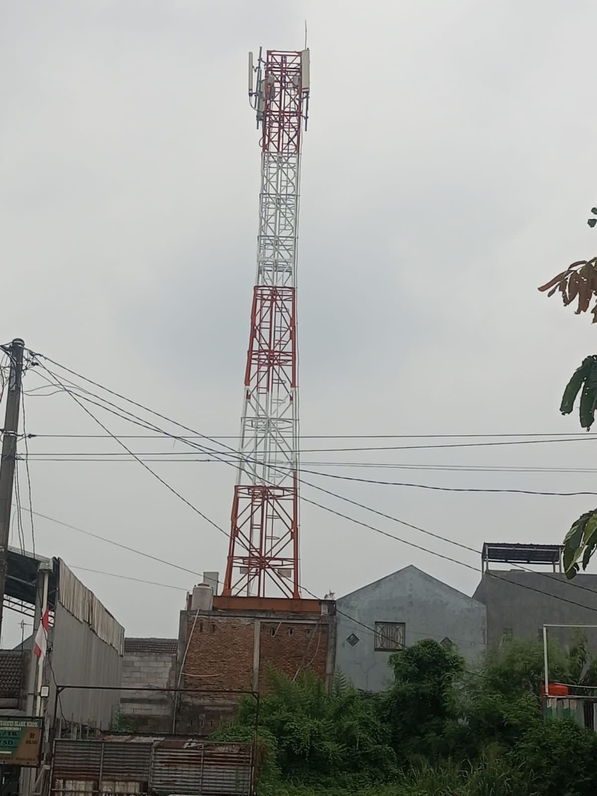 IMG-20260517-WA0004